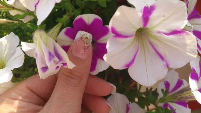 French Manicure Flower Pink